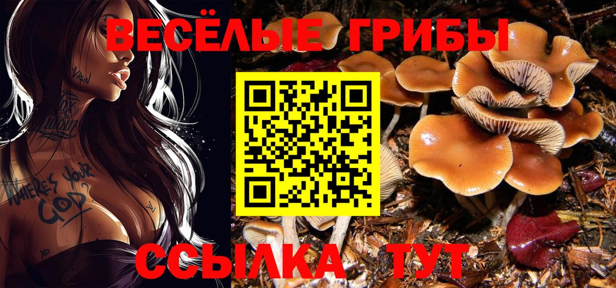 Псилоцибиновые грибы GOLDEN TEACHER  Псилоцибиновые грибы мицелий  Гагарин  Вход с VPN 
